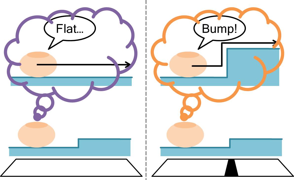 index.php?plugin=ref&page=research&src=2012_VisuoTactileCrossModal.jpg