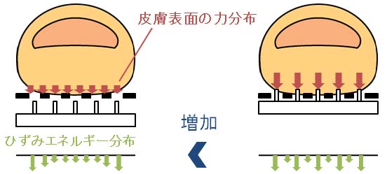 index.php?plugin=ref&page=research&src=toge.jpg