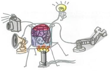 brain.jpg