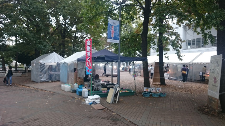 2015-11-20.jpg