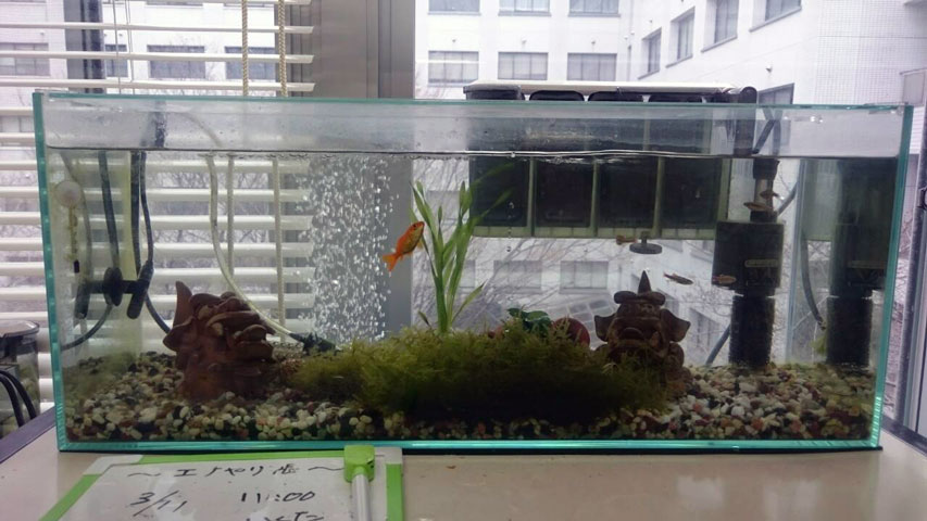 20160318171341s.jpg