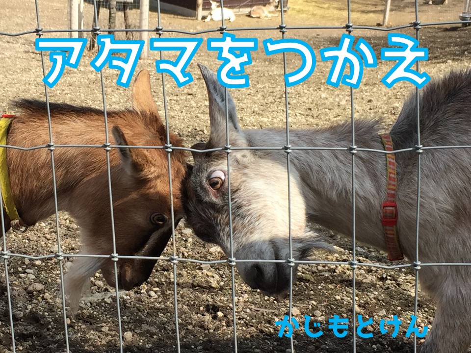 やぎ.jpg