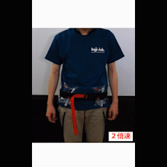 VRSJ2016_kon_AirHanger.gif